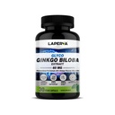 Laperva Glyco Ginkgo Biloba Extract